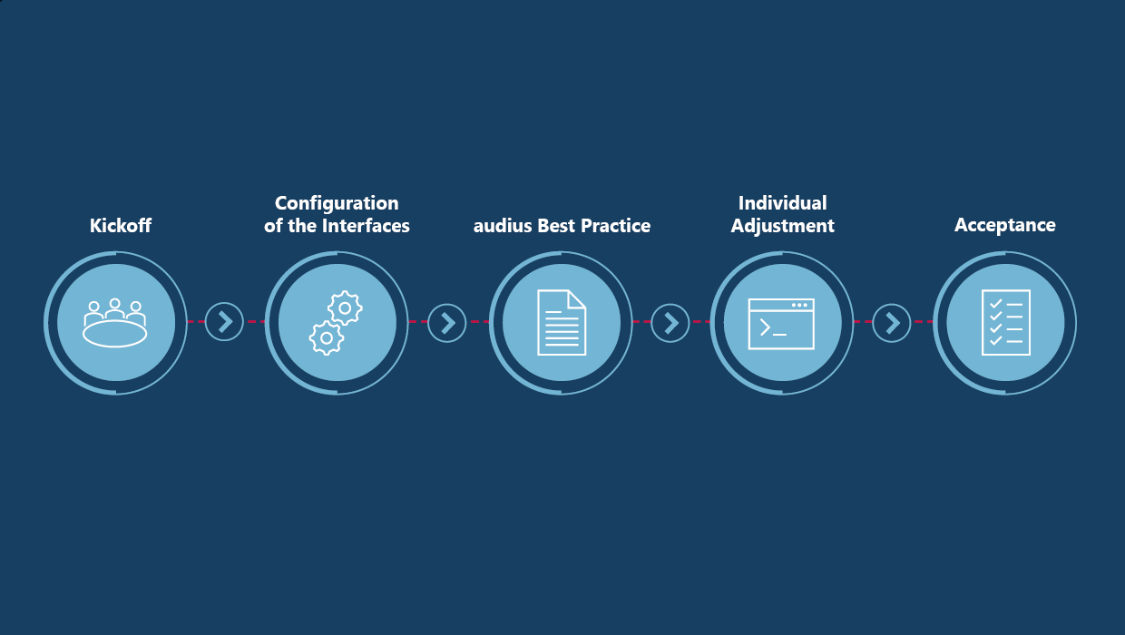 Defined EMM Roadmap from Concept through to Operation| audius