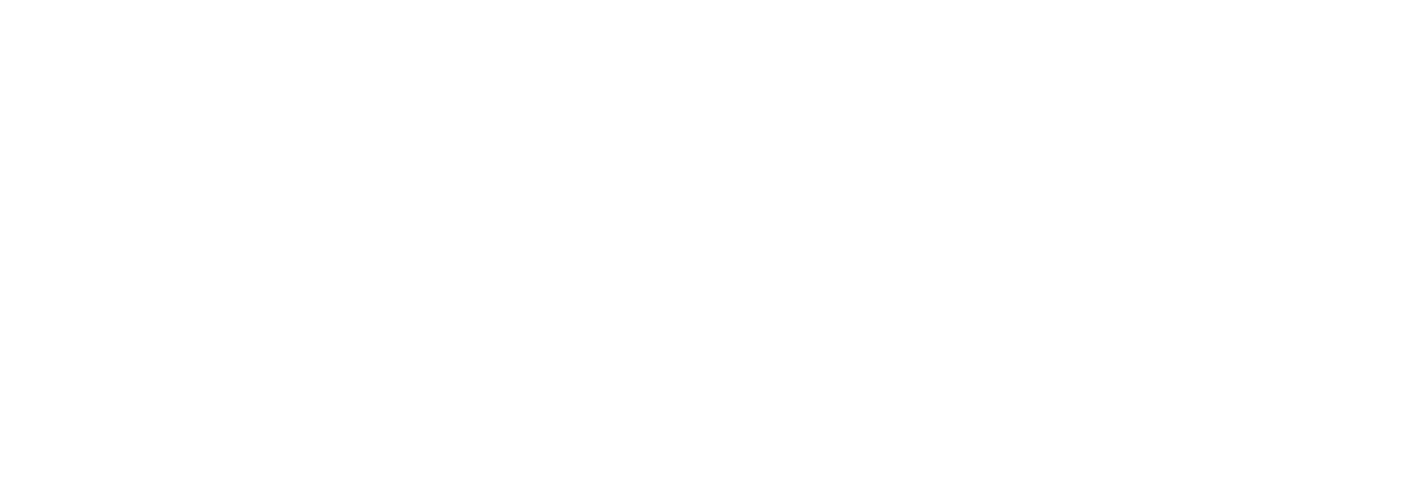 CompuSafe Data Systems AG CompuSafe Data Systems AG