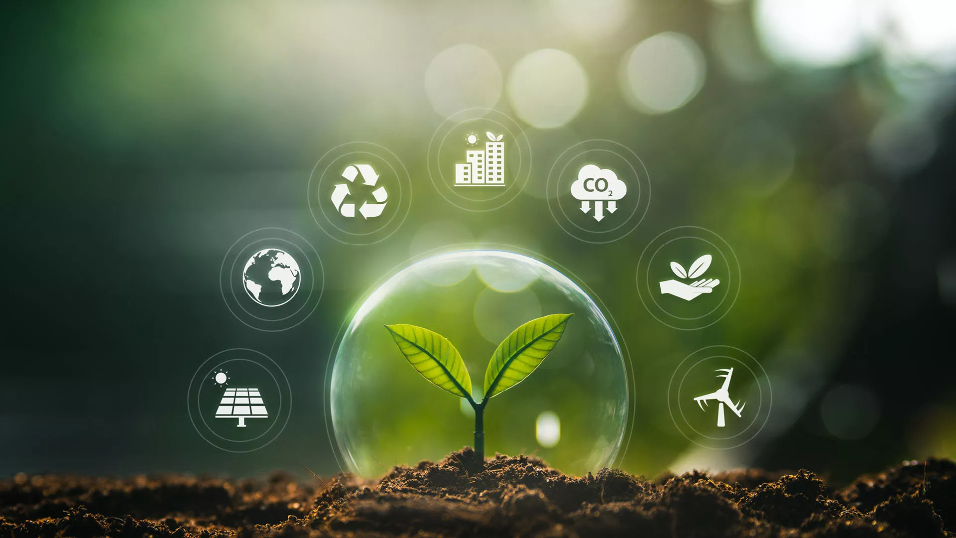 Nachhaltigkeit und Compliance bei audius – Verantwortung für Umwelt und Gesellschaft