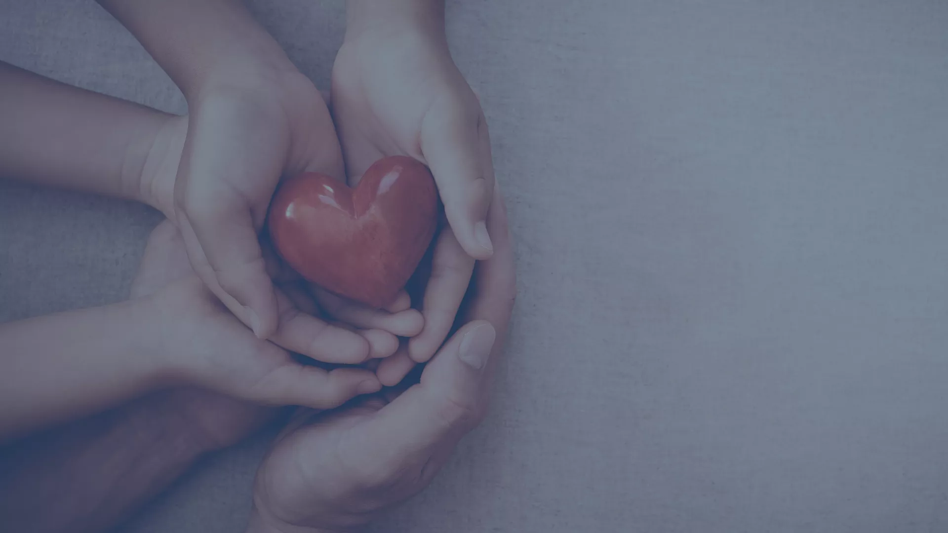 Mehrere Hände halten gemeinsam ein rotes Herz – Symbol für Fürsorge, Zusammenhalt und soziales Engagement