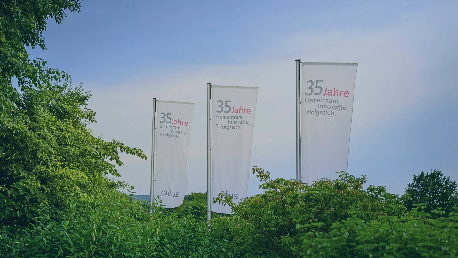 Drei weiße Flaggen mit der Aufschrift '35 Jahre – Gemeinsam. Innovativ. Erfolgreich.' von audius vor grünem Blätterhintergrund und blauem Himmel. Die Flaggen symbolisieren das 35-jährige Bestehen von audius, das seit 1991 Unternehmen bei der Digitalisierung begleitet und heute als internationale ITK-Gruppe mit ganzheitlichen Lösungen für Infrastruktur, Cloud, Anwendungen und Künstliche Intelligenz agiert.