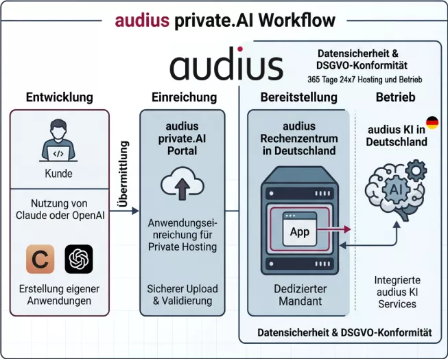 audius private.Ai Workflow