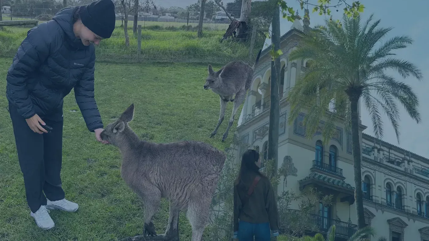 Zwei Studierende in warmer Kleidung füttern ein Känguru auf einer grünen Wiese in Australien – Symbolbild für die flexiblen Auslandssemester-Optionen von audius in Spanien und Australien.